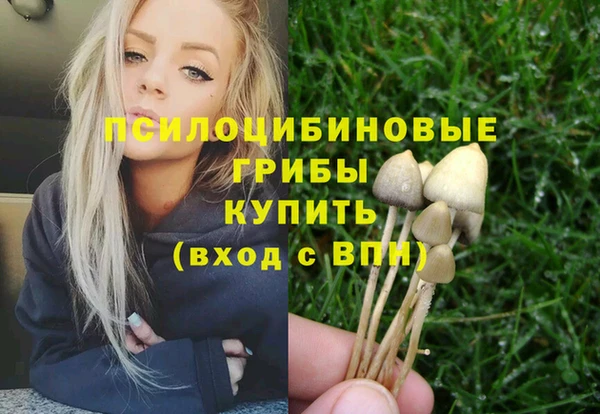 индика Алексин