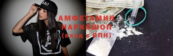 индика Алексин