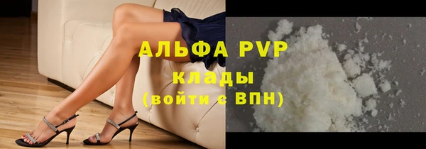 индика Алексин