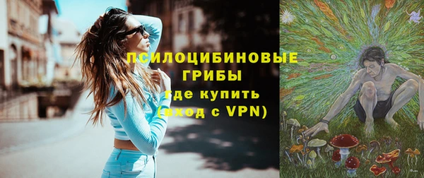 индика Алексин