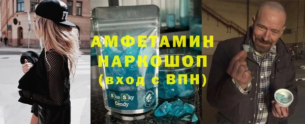индика Алексин