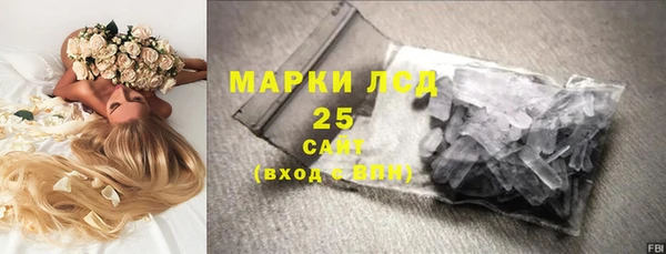 индика Алексин