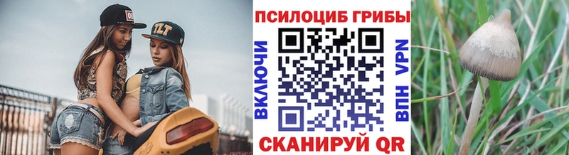Псилоцибиновые грибы GOLDEN TEACHER  Сибай 