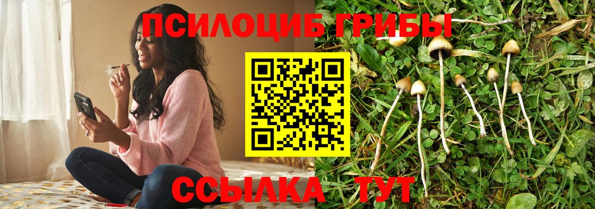 Псилоцибиновые грибы мухоморы  Вход с VPN  Сибай  Галлюциногенные грибы прущие грибы 