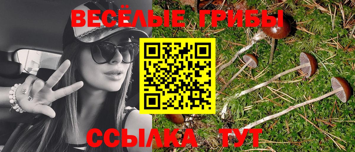 Галлюциногенные грибы прущие грибы Сибай